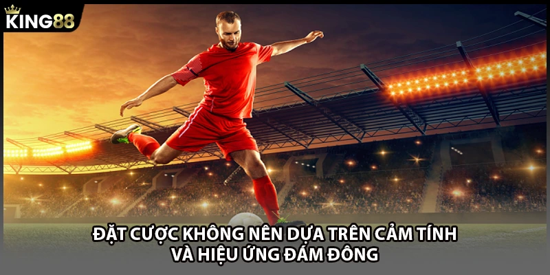 Đặt cược không nên dựa trên cảm tính và hiệu ứng đám đông