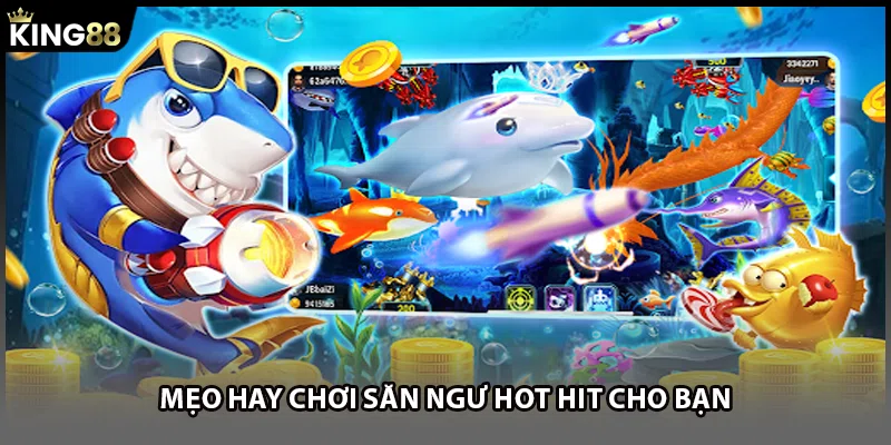 Mẹo hay chơi săn ngư hot hit cho bạn