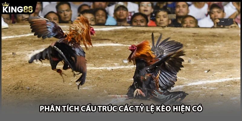 Phân tích cấu trúc các tỷ lệ kèo hiện có